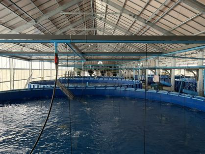 稼働中 養殖水槽